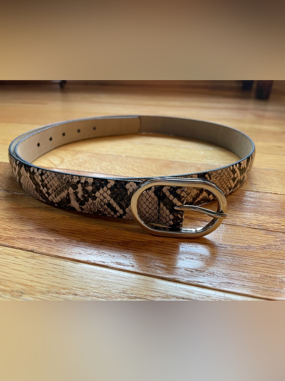 Snake-Print Oval Buckle Women's Belt - Black & Cream